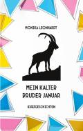 Mein kalter Bruder Januar  Kurzgeschichten von Monika Leonhardt große Schrift, Nr. 130123