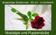 Sonstiges